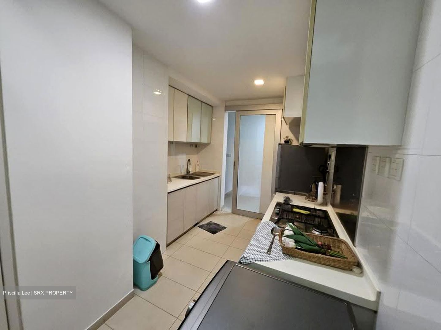 Oasis @ Elias (D18), Condominium #628321611